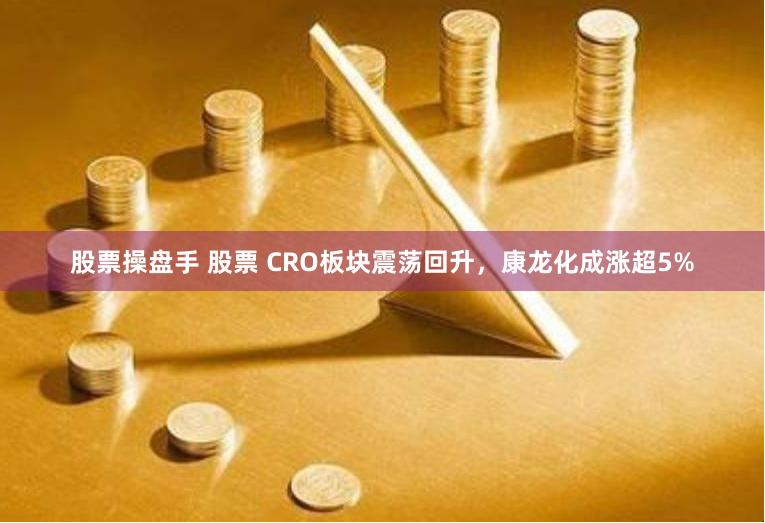 股票操盘手 股票 CRO板块震荡回升，康龙化成涨超5%