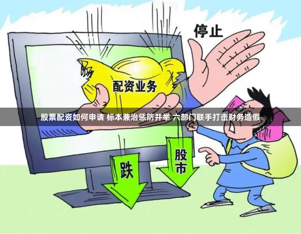 股票配资如何申请 标本兼治惩防并举 六部门联手打击财务造假