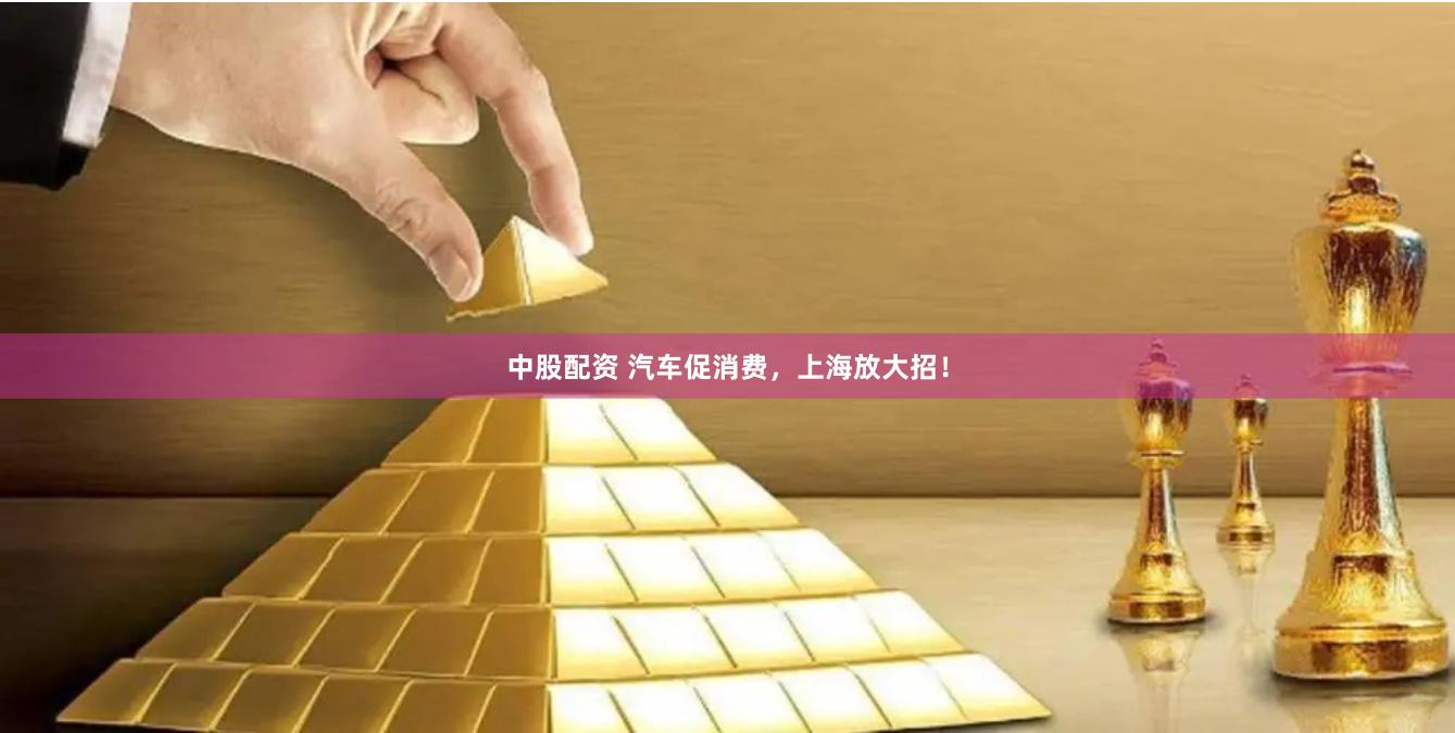 中股配资 汽车促消费，上海放大招！