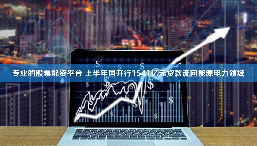 专业的股票配资平台 上半年国开行1541亿元贷款流向能源电力领域