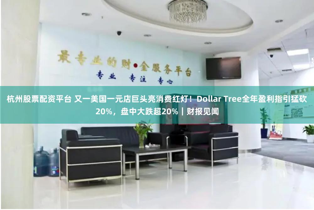杭州股票配资平台 又一美国一元店巨头亮消费红灯！Dollar Tree全年盈利指引猛砍20%，盘中大跌超20%｜财报见闻