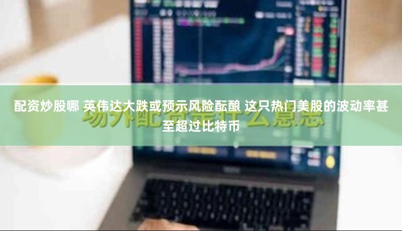 配资炒股哪 英伟达大跌或预示风险酝酿 这只热门美股的波动率甚至超过比特币