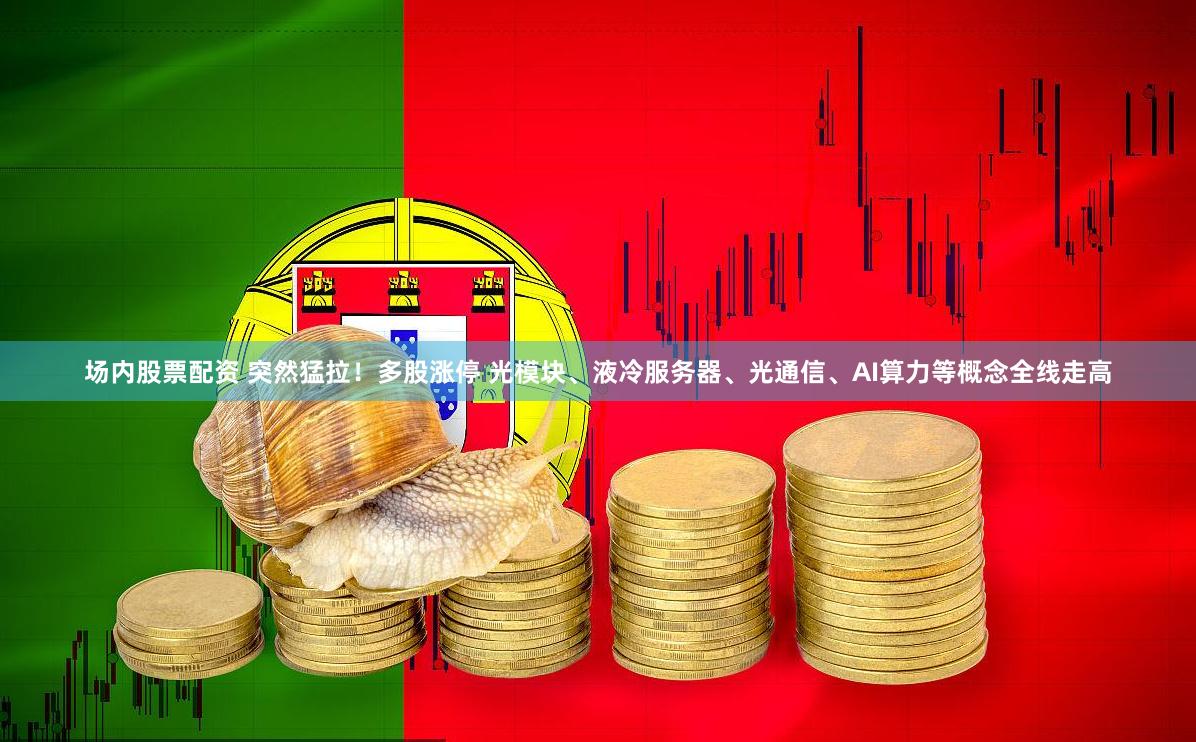 场内股票配资 突然猛拉！多股涨停 光模块、液冷服务器、光通信、AI算力等概念全线走高