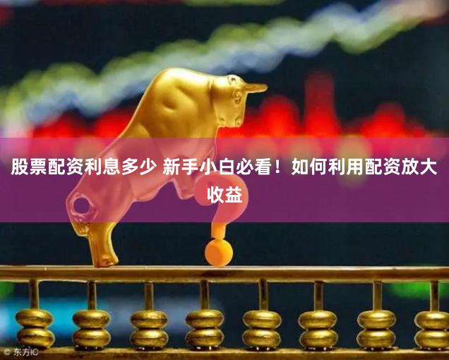 股票配资利息多少 新手小白必看！如何利用配资放大收益